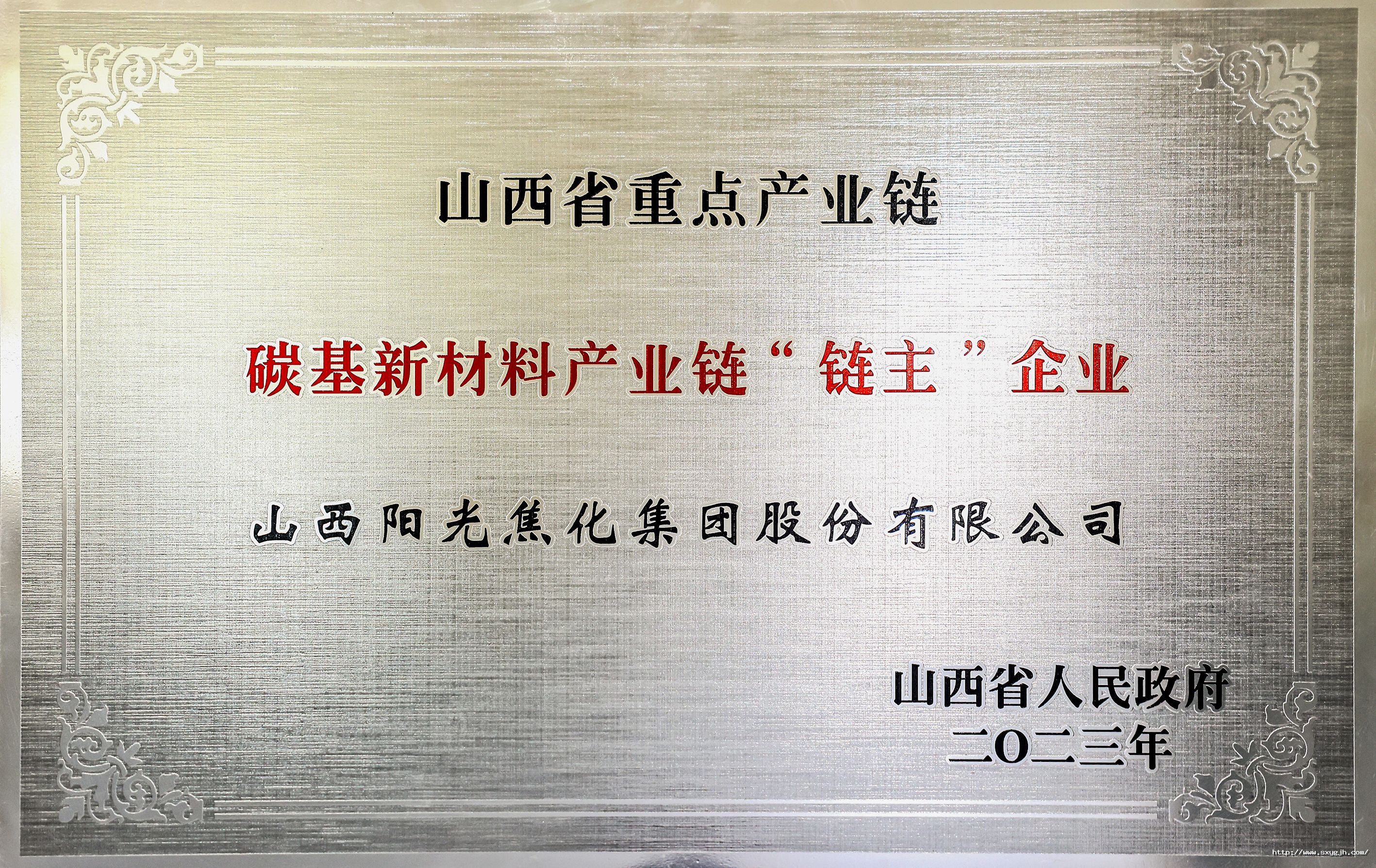 集團碳基新材料鏈主企業2.jpg
